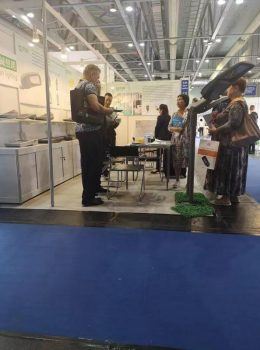 Ցուցահանդեսի ցուցադրություն