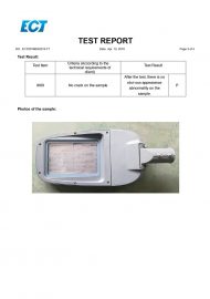 LD05 IK09 ՎԿԱՅԱԿԱՆ