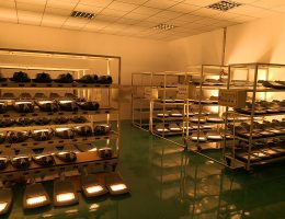 հին փորձարկում